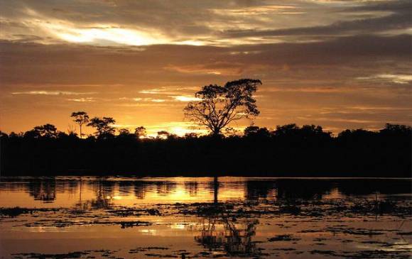 Reserva Natural Irapai, que se encuentra ubicada en el municipio de Puerto Alegría sobre el Río Amazonas, a 25 kilómetros de Leticia, es el lugar perfecto para tener contacto con la naturaleza y el medio ambiente del Amazonas. Reserva Natural Irapai, que se encuentra ubicada en el municipio de Puerto Alegría sobre el Río Amazonas, a 25 kilómetros de Leticia, es el lugar perfecto para tener contacto con la naturaleza y el medio ambiente del Amazonas.