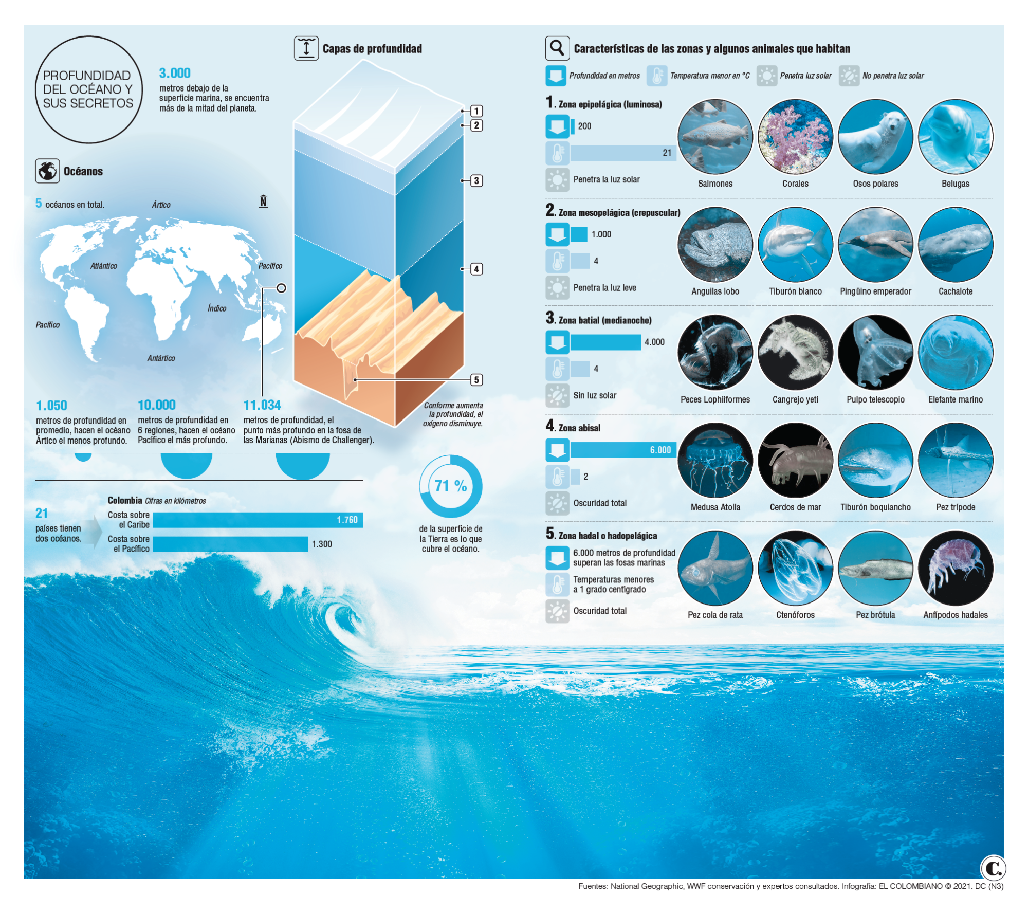 Fondo del mar: ¿más inexplorado que el espacio? Fondo del mar: ¿más inexplorado que el espacio?