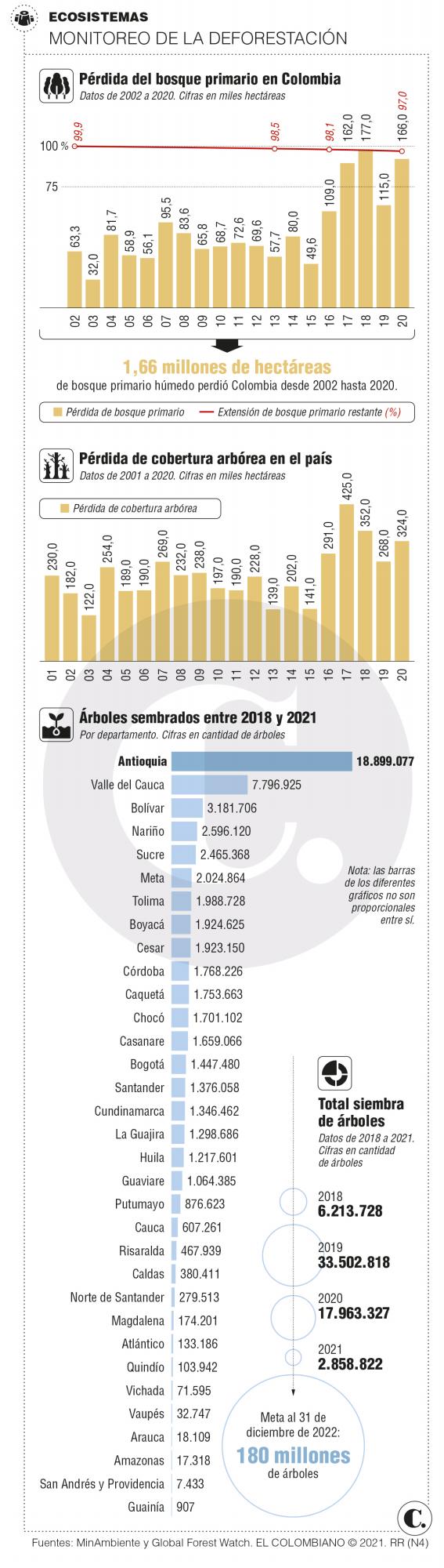 Deforestación sin pausa en tiempo de pandemia Deforestación sin pausa en tiempo de pandemia