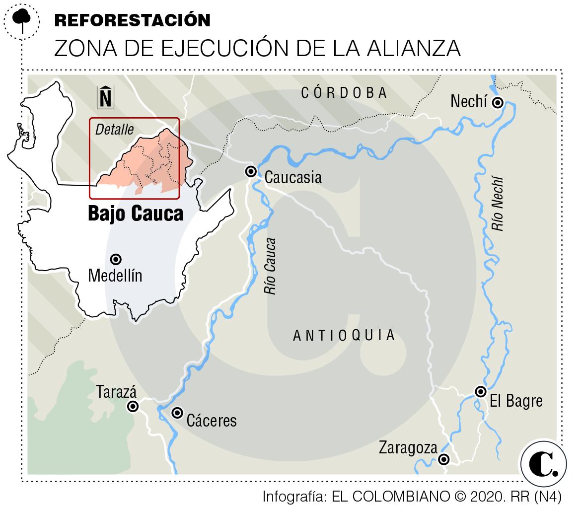 Salvarán 10.000 hectáreas degradadas del Bajo Cauca Salvarán 10.000 hectáreas degradadas del Bajo Cauca