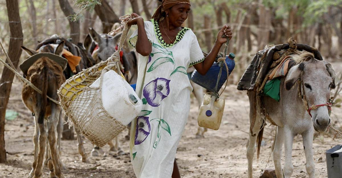Indígenas y afros van a Cuba a defender sus tierras