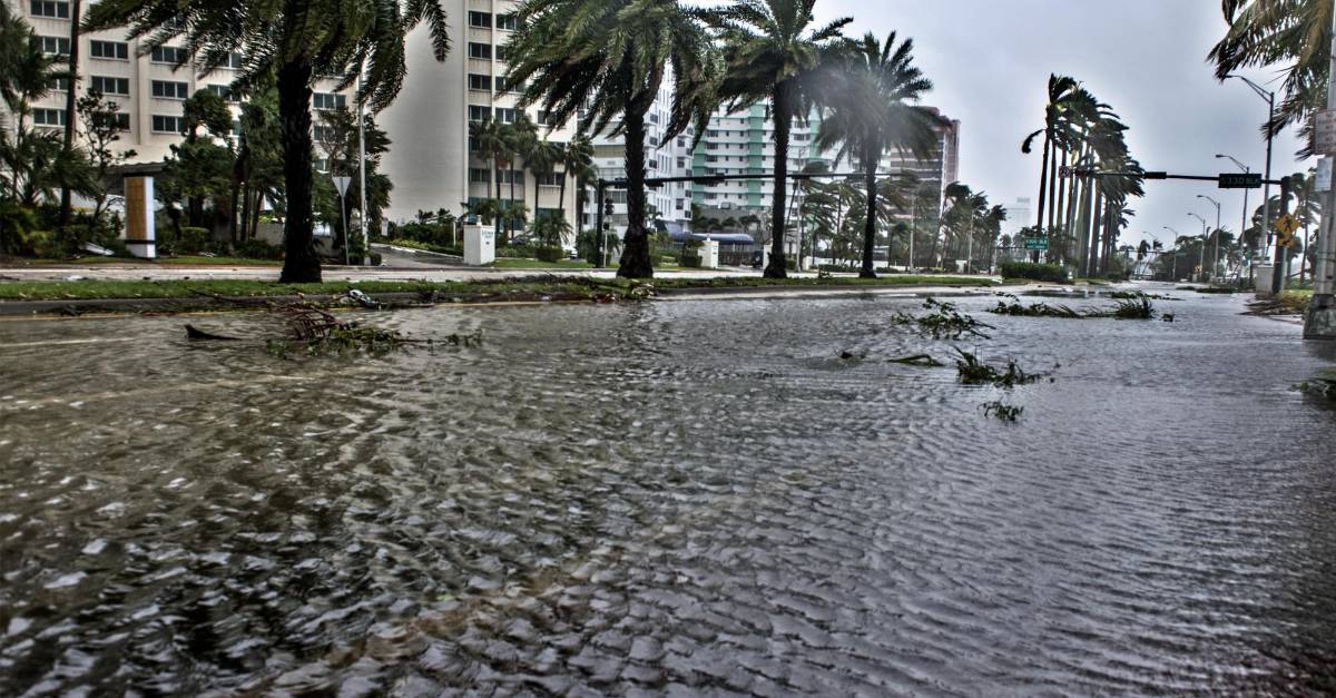 Así quedó Miami tras el paso del huracán Irma