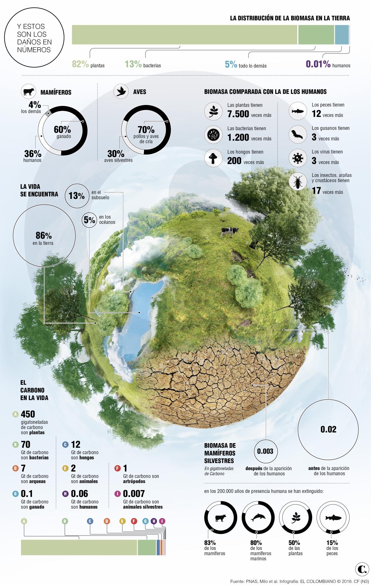 Humanos hemos acabado 50 % de las plantas y 83 % mamíferos