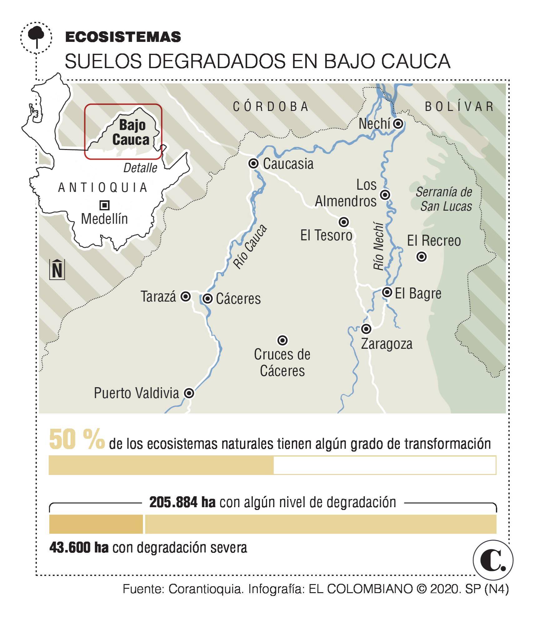 La medicina para el suelo enfermo del Bajo Cauca La medicina para el suelo enfermo del Bajo Cauca