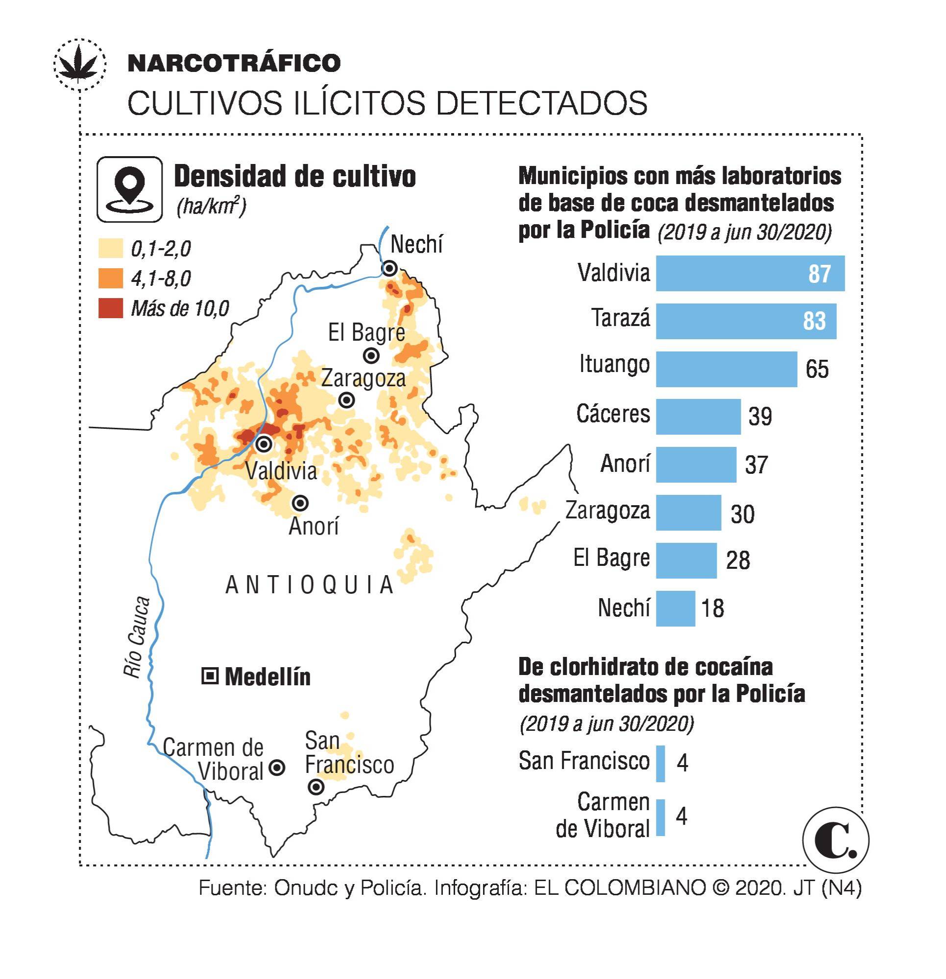 Degradación del bosque, otro daño de narcos en Antioquia Degradación del bosque, otro daño de narcos en Antioquia