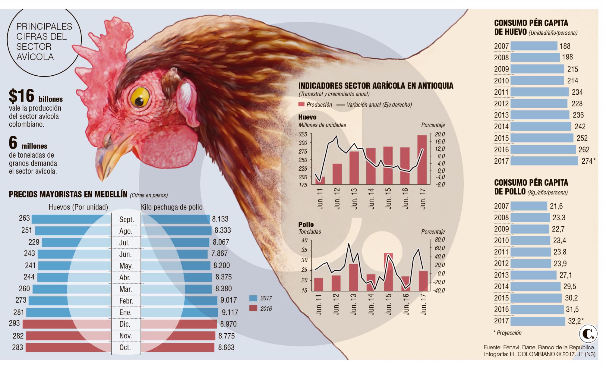 Avicultura: desempeño positivo