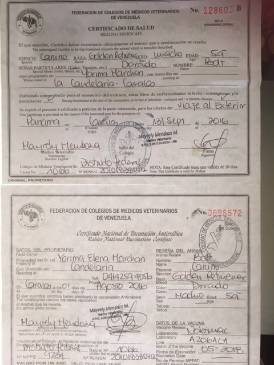 Parte de la documentación que fue presentada por Yarima Marchan, dueña del Bolt, ante el personal de la compañía Copa Airlines. FOTO Cortesía. Parte de la documentación que fue presentada por Yarima Marchan, dueña del Bolt, ante el personal de la compañía Copa Airlines. FOTO Cortesía.