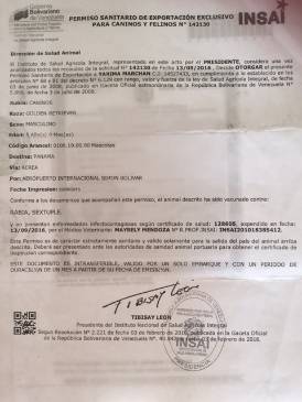 Parte de la documentación que fue presentada por Yarima Marchan, dueña del Bolt, ante el personal la compañía Copa Airlines. FOTO Cortesía. Parte de la documentación que fue presentada por Yarima Marchan, dueña del Bolt, ante el personal la compañía Copa Airlines. FOTO Cortesía.