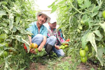 <p>Desarrollo social </p><p>que nace en la tierra</p> <p>Desarrollo social </p><p>que nace en la tierra</p>