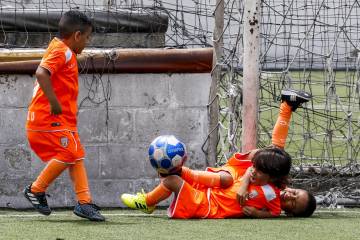 Los niños de la cantera del Envigado Fútbol Club Los niños de la cantera del Envigado Fútbol Club