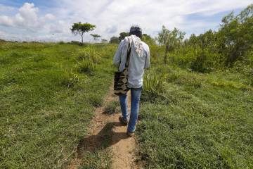 El cartero del río Cauca El cartero del río Cauca