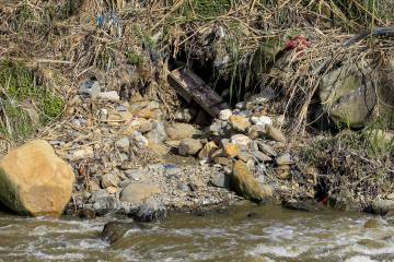 Minería ilegal devora terrenos en el Aburrá Minería ilegal devora terrenos en el Aburrá