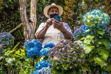 Campesinos locales ahora venden cosecha en la web Campesinos locales ahora venden cosecha en la web
