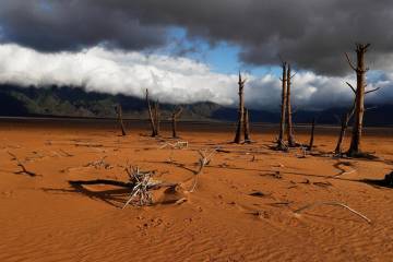 Sequía en Sudáfrica deja alerta por falta de agua Sequía en Sudáfrica deja alerta por falta de agua