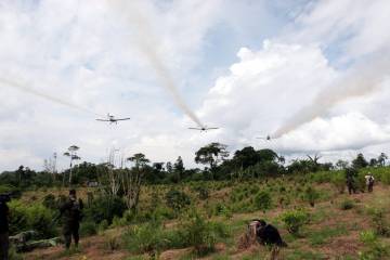 Colombia no está tan cerca de fumigar de nuevo con glifosato Colombia no está tan cerca de fumigar de nuevo con glifosato