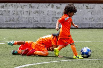 Los niños de la cantera del Envigado Fútbol Club Los niños de la cantera del Envigado Fútbol Club