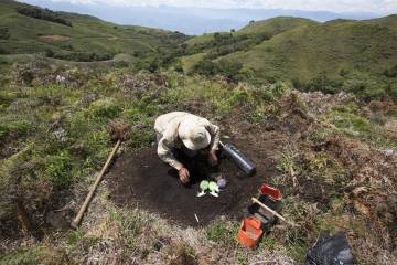Proyecto Semilla de la provincia de Cartama para recuperar ecosistemas de bosque Proyecto Semilla de la provincia de Cartama para recuperar ecosistemas de bosque
