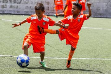 Los niños de la cantera del Envigado Fútbol Club Los niños de la cantera del Envigado Fútbol Club