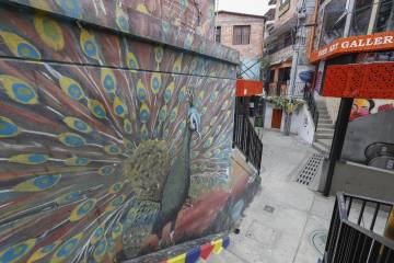 Grafiti tour de la comuna 13, en cuarentena Grafiti tour de la comuna 13, en cuarentena