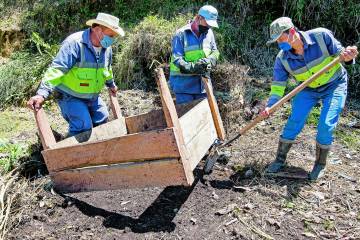 Ellos cambiaron gallinazos por mariposas Ellos cambiaron gallinazos por mariposas