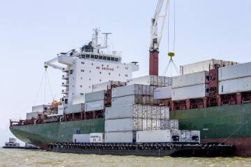 Bananeros venderán 115 millones de cajas este año Bananeros venderán 115 millones de cajas este año