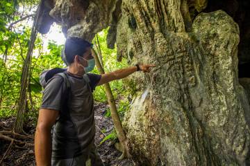 El Prodigio, el paraíso prehistórico de Antioquia El Prodigio, el paraíso prehistórico de Antioquia