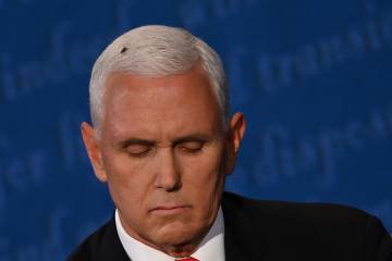 Mosca en cabeza de Pence durante debate en Estados Unidos deleita a internautas Mosca en cabeza de Pence durante debate en Estados Unidos deleita a internautas