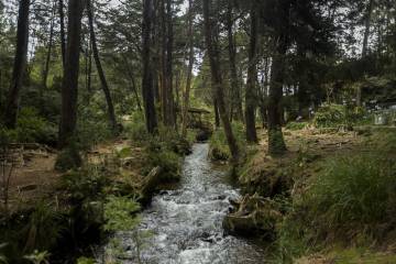 Un paraíso verde a solo 40 kilómetros de Medellín Un paraíso verde a solo 40 kilómetros de Medellín
