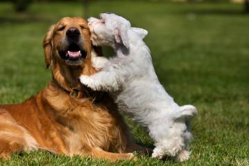 Mensajes entre mejores amigos Mensajes entre mejores amigos