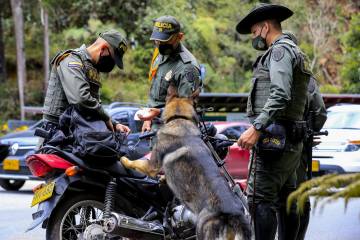 Seguridad en Santa Elena, policías en los bosques Seguridad en Santa Elena, policías en los bosques