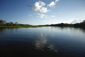 Brasil planea vender el 15% del Amazonas a Fondos de Inversión para su protección Brasil planea vender el 15% del Amazonas a Fondos de Inversión para su protección