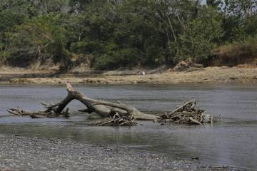 32 municipios están sin agua por la temporada seca 32 municipios están sin agua por la temporada seca
