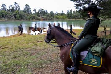 Seguridad en Santa Elena, policías en los bosques Seguridad en Santa Elena, policías en los bosques