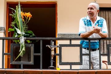 Ramos en los balcones Ramos en los balcones