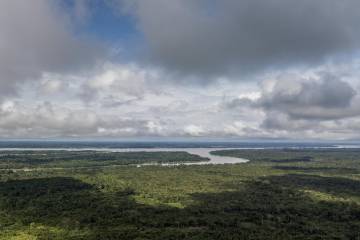 El 40 % del Amazonas puede convertirse en ecosistema tipo sabana El 40 % del Amazonas puede convertirse en ecosistema tipo sabana