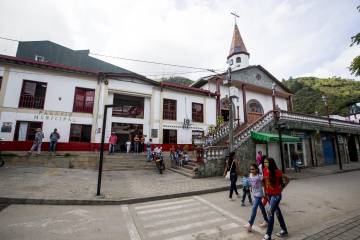 Campesinos de Briceño protestarán por incumplimiento del Gobierno por sustitución de cultivos ilícitos Campesinos de Briceño protestarán por incumplimiento del Gobierno por sustitución de cultivos ilícitos