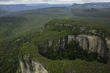 Curso en línea WWF para entender qué pasa en el planeta: problemáticas medioambientales Curso en línea WWF para entender qué pasa en el planeta: problemáticas medioambientales