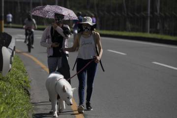 Regresó la tradicional ciclovía dominical Regresó la tradicional ciclovía dominical