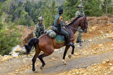 Seguridad en Santa Elena, policías en los bosques Seguridad en Santa Elena, policías en los bosques