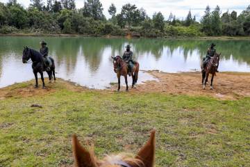Seguridad en Santa Elena, policías en los bosques Seguridad en Santa Elena, policías en los bosques
