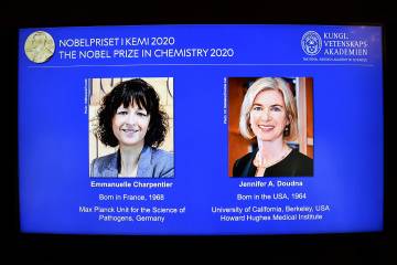 Premio Nobel de Química 2020 a mujeres genetistas de Francia y Estados Unidos Premio Nobel de Química 2020 a mujeres genetistas de Francia y Estados Unidos