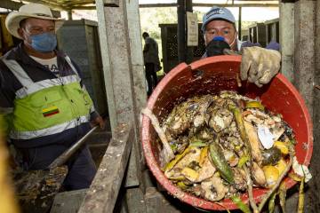 Ellos cambiaron gallinazos por mariposas Ellos cambiaron gallinazos por mariposas