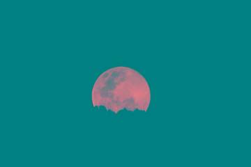 La Luna fue compañía La Luna fue compañía