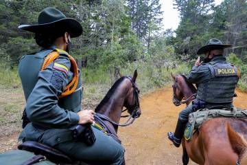Seguridad en Santa Elena, policías en los bosques Seguridad en Santa Elena, policías en los bosques