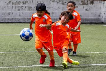 Los niños de la cantera del Envigado Fútbol Club Los niños de la cantera del Envigado Fútbol Club