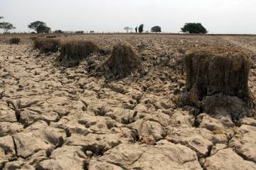 Costo del cambio climático en Colombia Costo del cambio climático en Colombia
