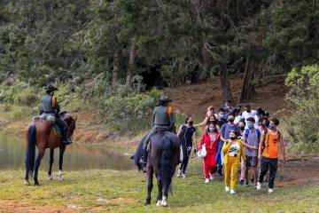 Seguridad en Santa Elena, policías en los bosques Seguridad en Santa Elena, policías en los bosques
