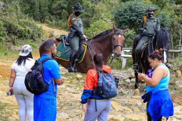 Seguridad en Santa Elena, policías en los bosques Seguridad en Santa Elena, policías en los bosques