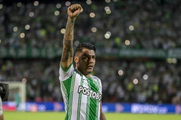 La herencia del capitán verdolaga La herencia del capitán verdolaga