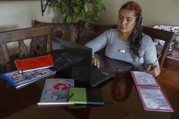 Con censo digital, la alcaldía busca enfrentar la pandemia en Medellín Con censo digital, la alcaldía busca enfrentar la pandemia en Medellín